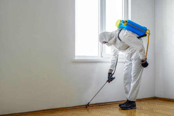 Best Pest Prevention Services  in Emigsville, PA